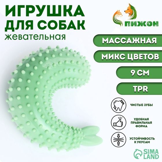 Игрушка массажная для собак &quot;Креветка&quot; 9 см, ТПР, микс цветов