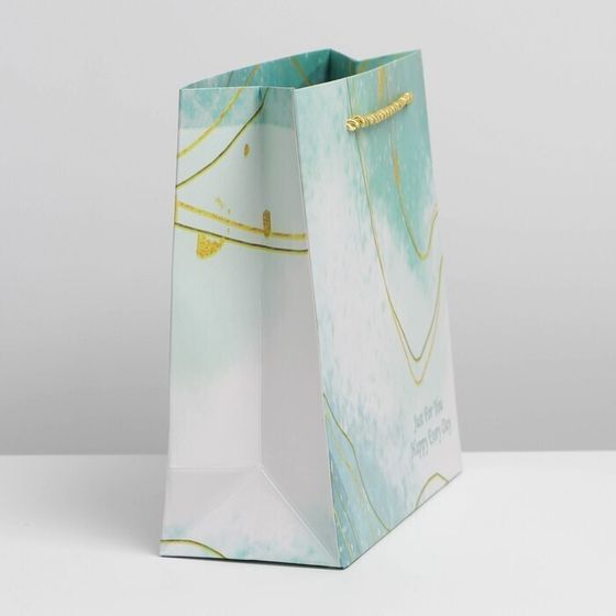 !Пакет «Голубая лагуна», 2 штуки, 20 х 20 х 8 см