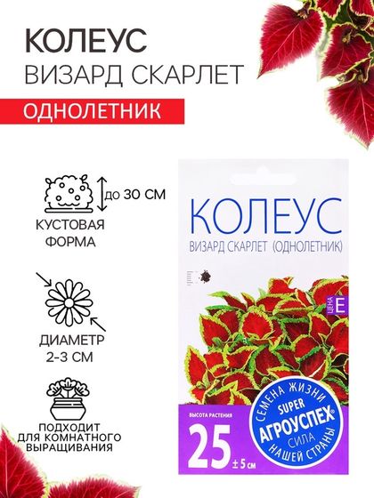 Семена цветов Колеус &quot;Визард Скарлет&quot;, 10 шт