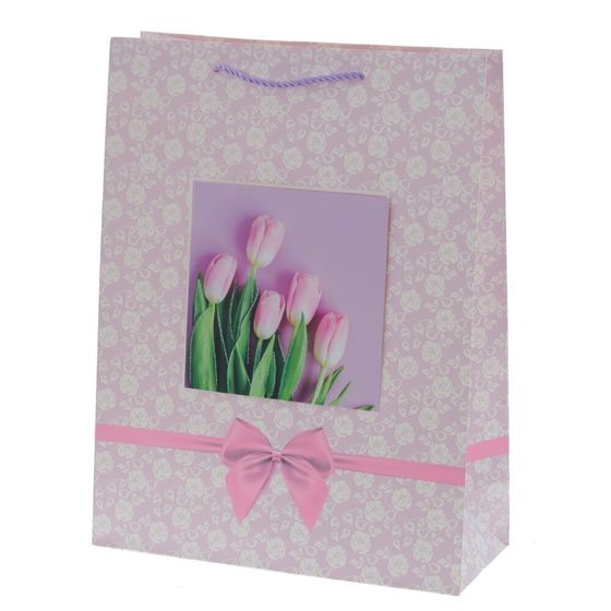 Пакет подарочный (бумага 210г/м2, блок микс 12шт), L18 W8,5 H24 см, 4в.