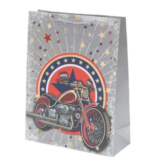 Пакет подарочный (бумага 210г/м2, (блок микс 12шт), L30 W12 H39 см, 4в.