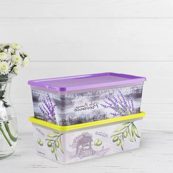 Коробка ПРОВАНС FLEUR прямоугольная 5.5л