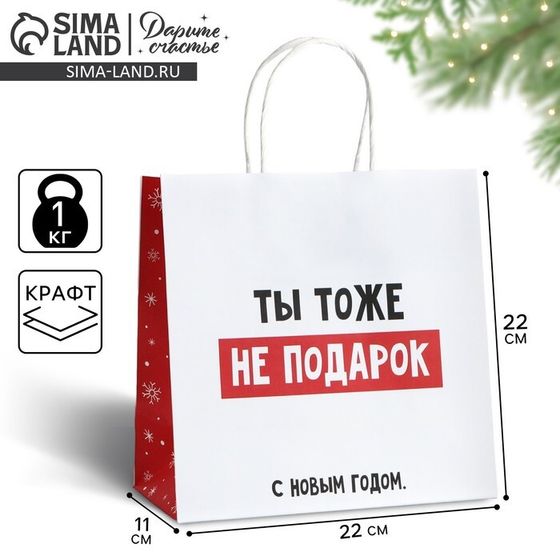 Пакет подарочный новогодний «Ты тоже не подарок», 22 х 22 х 11 см