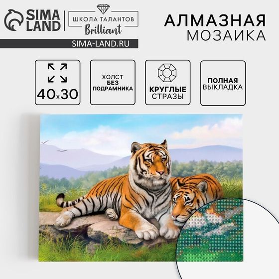 Алмазная мозаика с полным заполнением на холсте «Тигры», 30 х 40 см