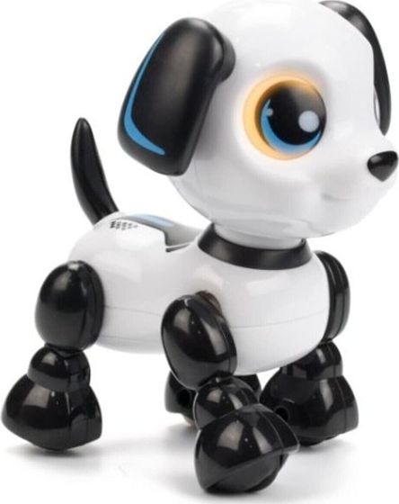 Dumel Robo heads up puppy