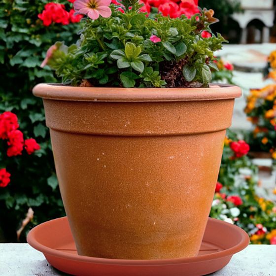 Поддон пластиковый 24см