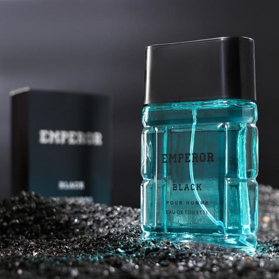 Туалетная вода мужская Emperor Black, 100 мл (по мотивам Sauvage (C.Dior)