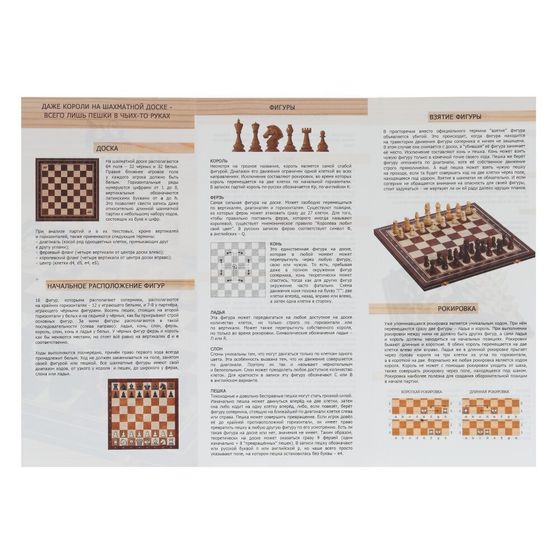 Игра настольная 2 в 1 ( шашки, нарды) "Белые лошади", L50 W25 H4 см