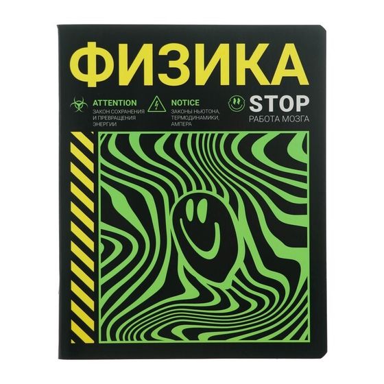 Тетрадь предметная &quot;Неоновый смайл&quot;, 48 листов в клетку &quot;Физика&quot;, обложка мелованный картон, неоновая краска, блок 65 г/м