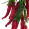 Ветка искусственная &quot;Перец&quot;, L35 W24 H60 см, 2в.