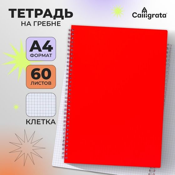 Тетрадь A4, 60 листов в клетку, на гребне, Calligrata, пластиковая обложка, блок офсет, красная