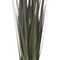 Цветочная композиция &quot;Осока&quot;, L10 W10 H68 см