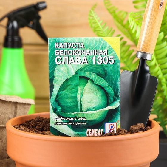 Семена Капуста белокачанная &quot;Слава 1305&quot;, 0.5 г