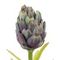 Цветок искусственный "Артишок", L9 W9 H55 см, 2в.