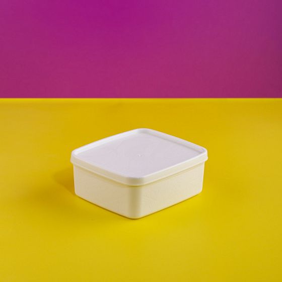 Контейнер для заморозки ALASKA 0.65л белый