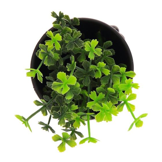 Цветочная композиция, L7 W8 H16 см