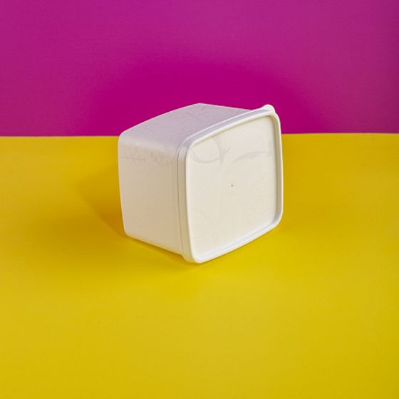 Контейнер для заморозки ALASKA 1.2л белый