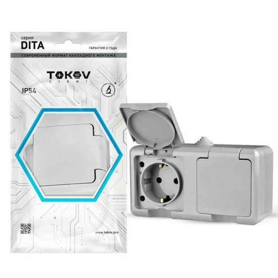 Розетка TOKOV ELECTRIC, Dita, 2-м, 16А, IP54, 250В, с з/к, с кр, серый, TKL-DT-R2Z-C06-IP54