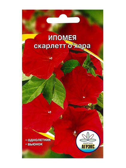 Семена цветов Ипомея &quot;Скарлет О&quot;Хара&quot;, О, 10 шт.