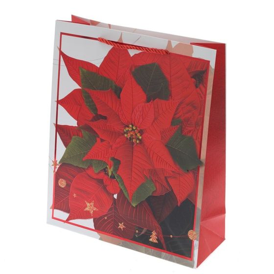 Пакет подарочный (бумага 210г/м2, блок 12шт), L26 W10 H32 см, 4в.