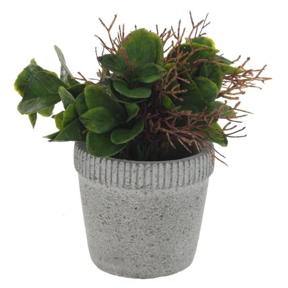 Цветочная композиция, L11 W11 H16 см, 2в.