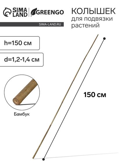 Колышек для подвязки растений, h = 150 см, d = 1,2-1,4 см, бамбук, Greengo