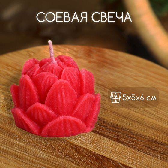 Свеча &quot;Лотос&quot; 5х5х6 см, соевый воск