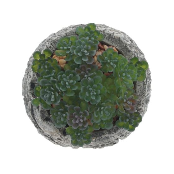 Цветочная композиция "Суккулент", L11 W11 H12 см