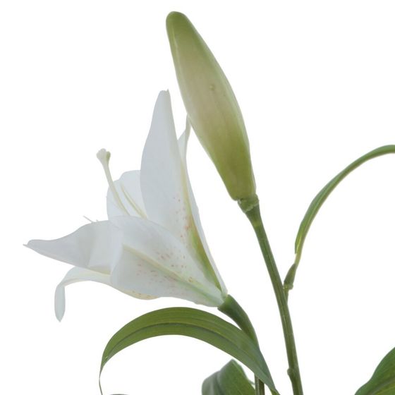 Цветок искусственный &quot;Лилия&quot;, L26 W12 H84 см