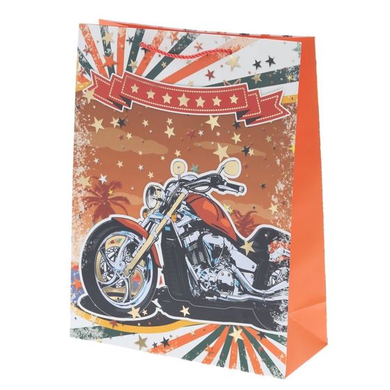 Пакет подарочный (бумага 210г/м2, (блок микс 12шт), L30 W12 H39 см, 4в.