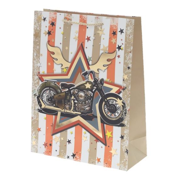 Пакет подарочный (бумага 210г/м2, (блок микс 12шт), L30 W12 H39 см, 4в.