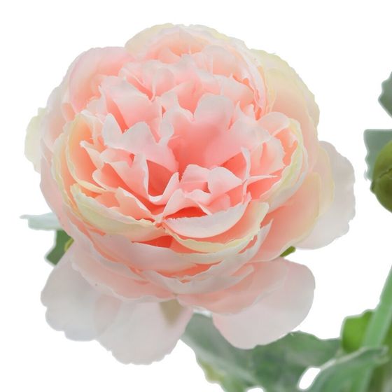 Цветок искусственный &quot;Ранункулюс&quot;, L10 W10 H49 см