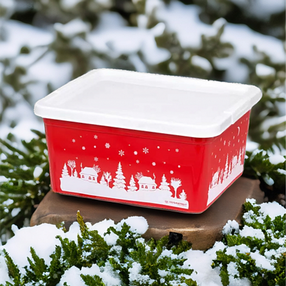 Коробка для мелочей ЗИМА 1.9л