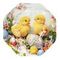 Тарелка для 8-ми яиц, L25,5 W25,5 H1,5 см