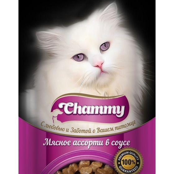 Влажный корм Chammy для кошек, мясное ассорти в соусе, пауч, 85 г