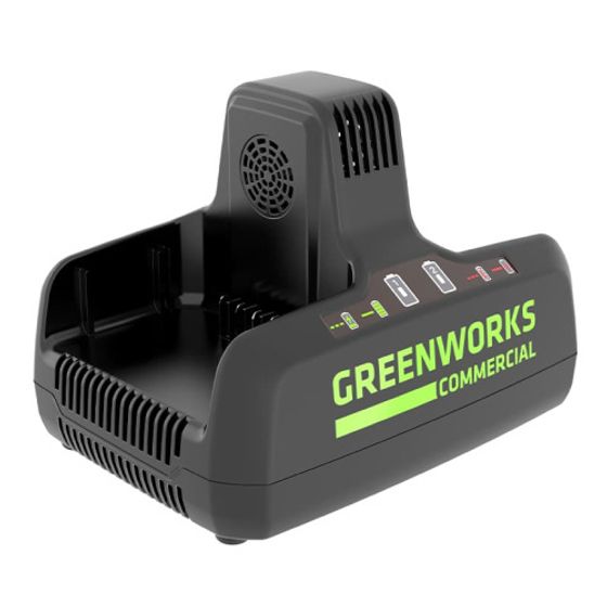 Зарядное устройство GreenWorks G82C2 82V (2939007)