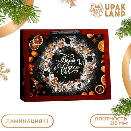 Пакет ламинированный горизонтальный &quot;Верь в чудеса!&quot;,49 х 40 х 19 см.