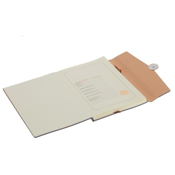 Набор из блокнота и ручки, Д19,5 Ш24,5 В4 см