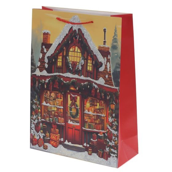 Пакет подарочный (бумага 210г/м2, блок 12шт), L18 W8,5 H23 см, 4в.