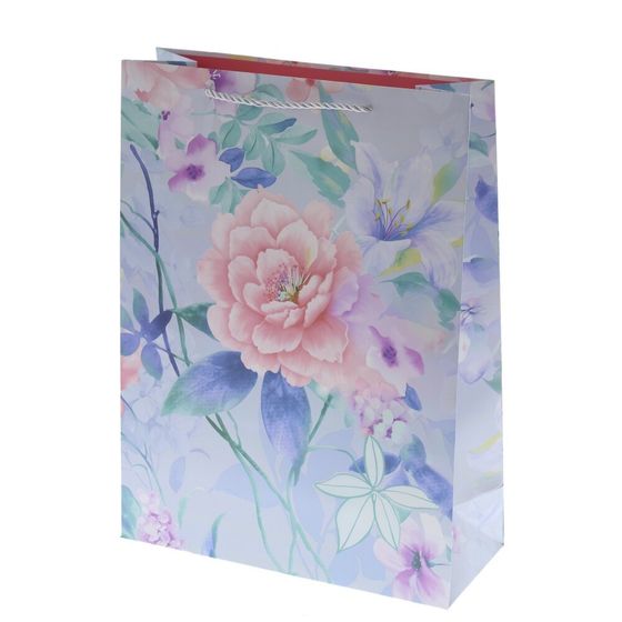 Пакет подарочный (бумага 210г/м2, блок 12шт), L18 W10 H23 см, 4в.