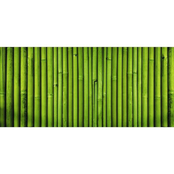 Фотобаннер, 300 × 200 см, с фотопечатью, люверсы шаг 1 м, «Бамбук», Greengo