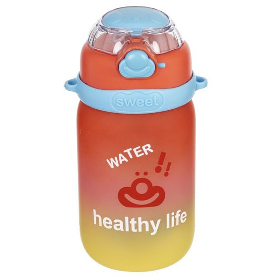 Бутылка, 600 мл, L9 W8,5 H18 см