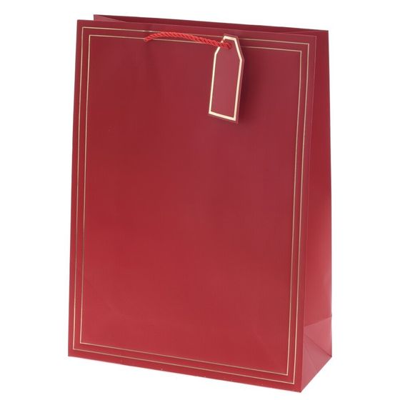 Пакет подарочный (бумага 210г/м2, блок 12шт), L31 W12 H42 см, 10в.