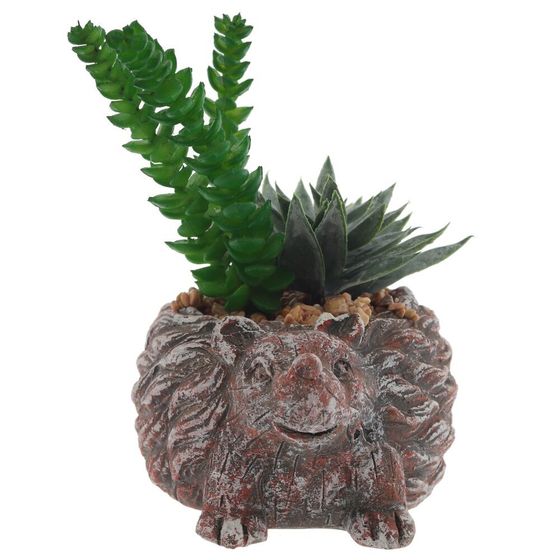 Цветочная композиция &quot;Суккулент&quot;, L14 W12 H12 см, 4в.