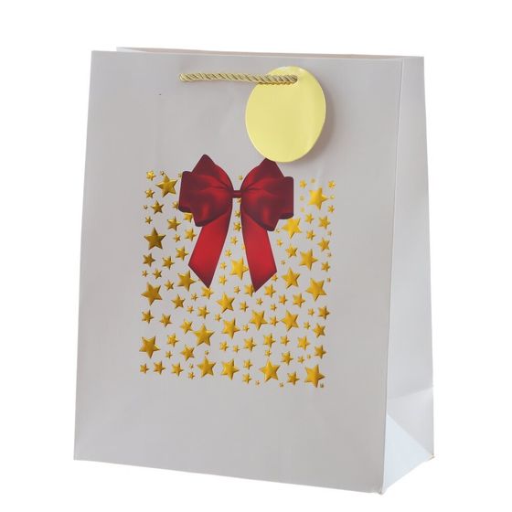 Пакет подарочный (бумага 210г/м2, блок 12шт), L26 W12 H32 см, 4в.