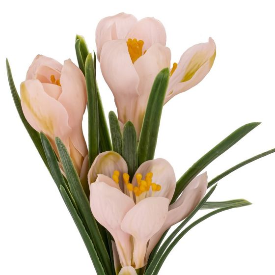 Цветочная композиция &quot;Крокусы&quot;, L12 W12 H28 см