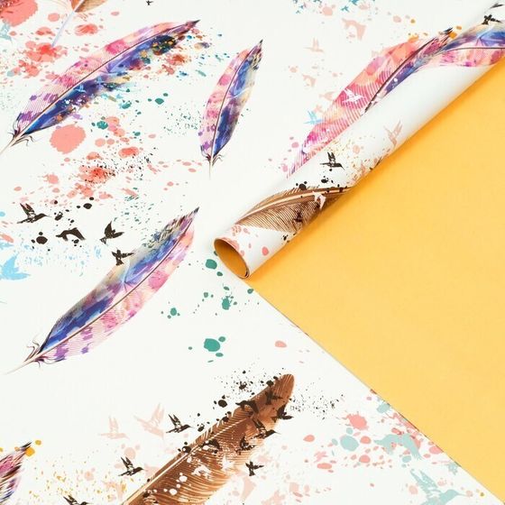 !09 Бумага упаковочная (набор 4 листа) глянцевая, двусторонняя "Перья", рисунок, 100 х 70 см.