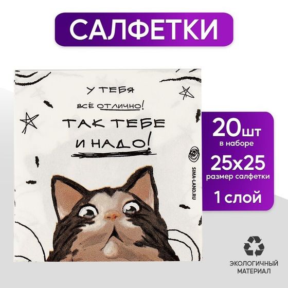 Салфетки бумажные 25*25см &quot;Коты&quot; (набор 20 шт)