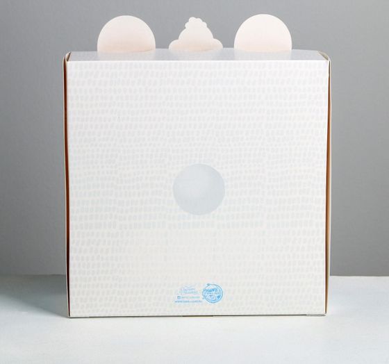 !09 Коробка складная (набор 5 штук) « С Новым Годом!Медвежонок», 25 х 25 х 10 см.