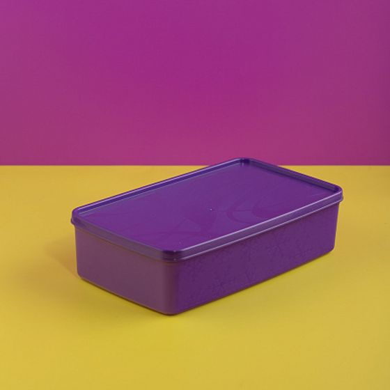 Контейнер для заморозки ALASKA 2.1л фиолетовый